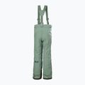 Pantaloni de schi pentru copii  Helly Hansen No Limits 2.0 cactus 6