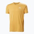 Tricou pentru bărbați Helly Hansen Nord Graphic sand 4