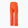 Pantaloni de schi pentru bărbați Helly Hansen Sogn Cargo cherry tomato 2