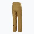 Pantaloni de schi pentru bărbați  Helly Hansen Sogn Cargo lynx 2