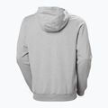 Bluză pentru bărbați  Helly Hansen HH Logo Full Zip Hoodie 2.0 grey/ melange 6