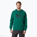 Bluză pentru bărbați  Helly Hansen HH Logo Hoodie 2.0 emerald