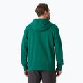 Bluză pentru bărbați  Helly Hansen HH Logo Hoodie 2.0 emerald 2