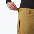 Pantaloni de schi pentru bărbați  Helly Hansen Legendary Insulated lynx 3