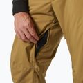 Pantaloni de schi pentru bărbați  Helly Hansen Legendary Insulated lynx 4