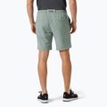 Pantaloni scurți de navigație pentru bărbați Helly Hansen Hp Sirocco 9" grey cactus 2