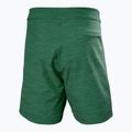 Pantaloni scurți de baie pentru bărbați Helly Hansen Newport Boardshorts 8" jungle green 6