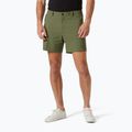 Pantaloni scurți de trekking Helly Hansen Move Quick-Dry 6" lav green
