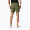 Pantaloni scurți de trekking Helly Hansen Move Quick-Dry 6" lav green 2