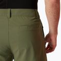 Pantaloni scurți de trekking Helly Hansen Move Quick-Dry 6" lav green 4