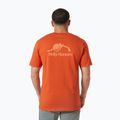 Tricou pentru bărbați Helly Hansen Nord Graphic patrol orange 2