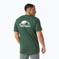 Tricou pentru bărbați Helly Hansen Nord Graphic jungle green 2