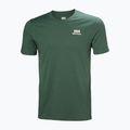 Tricou pentru bărbați Helly Hansen Nord Graphic jungle green 4