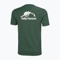 Tricou pentru bărbați Helly Hansen Nord Graphic jungle green 5