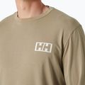 Longsleeve pentru bărbați Helly Hansen Skog Graphic pebble 3