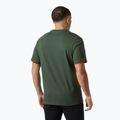 Tricou pentru bărbați Helly Hansen Box T 2.0 jungle green 2