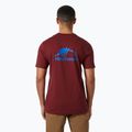 Tricou pentru bărbați Helly Hansen Nord Graphic mars red 2