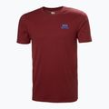 Tricou pentru bărbați Helly Hansen Nord Graphic mars red 4