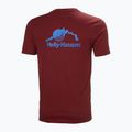 Tricou pentru bărbați Helly Hansen Nord Graphic mars red 5