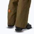 Pantaloni de schi pentru bărbați Helly Hansen Sogn Cargo sepia 5