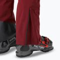 Pantaloni de schi pentru bărbați Helly Hansen Alpha Lifaloft mars red 5