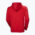 Bluză pentru bărbați Helly Hansen HH Logo Hoodie red 6