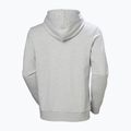 Bluză pentru bărbați Helly Hansen HH Logo Hoodie grey/melange 6