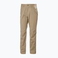 Pantaloni de trekking pentru bărbați Helly Hansen Holmen 5 Pocket pebble 5
