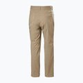 Pantaloni de trekking pentru bărbați Helly Hansen Holmen 5 Pocket pebble 6