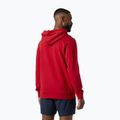 Bluză pentru bărbați Helly Hansen Core Graphic Hoodie red 2
