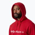 Bluză pentru bărbați Helly Hansen Core Graphic Hoodie red 3