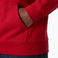 Bluză pentru bărbați Helly Hansen Core Graphic Hoodie red 4