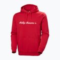 Bluză pentru bărbați Helly Hansen Core Graphic Hoodie red 5