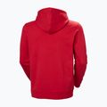 Bluză pentru bărbați Helly Hansen Core Graphic Hoodie red 6