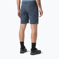 Pantaloni scurți de trekking pentru bărbați Helly Hansen Holmen 5 Pocket alpine frost 2