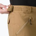 Pantaloni de schi pentru bărbați Helly Hansen Sogn Cargo elmwood 3
