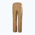 Pantaloni de schi pentru bărbați Helly Hansen Sogn Cargo elmwood 7