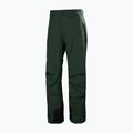 Pantaloni de schi pentru bărbați Helly Hansen Legendary Insulated dark jungle