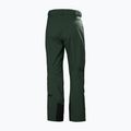 Pantaloni de schi pentru bărbați Helly Hansen Legendary Insulated dark jungle 2