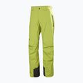 Pantaloni de schi pentru bărbați Helly Hansen Legendary Insulated pulse green