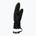 Mănuși de schi Helly Hansen Alpha Mittens black placeholder 2