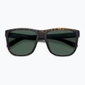 Ochelari de soare pentru bărbați Polaroid PLD 2155/S matte brown havana/green polarized 4