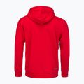 Bluză de tenis pentru bărbați HEAD Club Byron Hoodie red 2