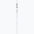 Bețe de schi HEAD Worldcup Rebels Carbon white 2