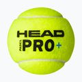 HEAD Padel Pro+ mingi de padel 3 buc. galben 3