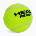 HEAD Reset Polybag mingi de tenis 72 buc. verde 575030 3