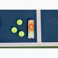 Mingi de tenis pentru copii HEAD Stage 2 3 buc portocaliu 4