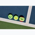 Mingi de tenis pentru copii HEAD Stage 2 3 buc portocaliu 5
