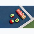 HEAD Stage 3 mingi de tenis pentru copii 3 buc roșu. 4