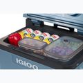 Frigider termoelectric de turism Igloo IE42 ACDC 42 l ice blue 12